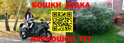 каннабис Новозыбков