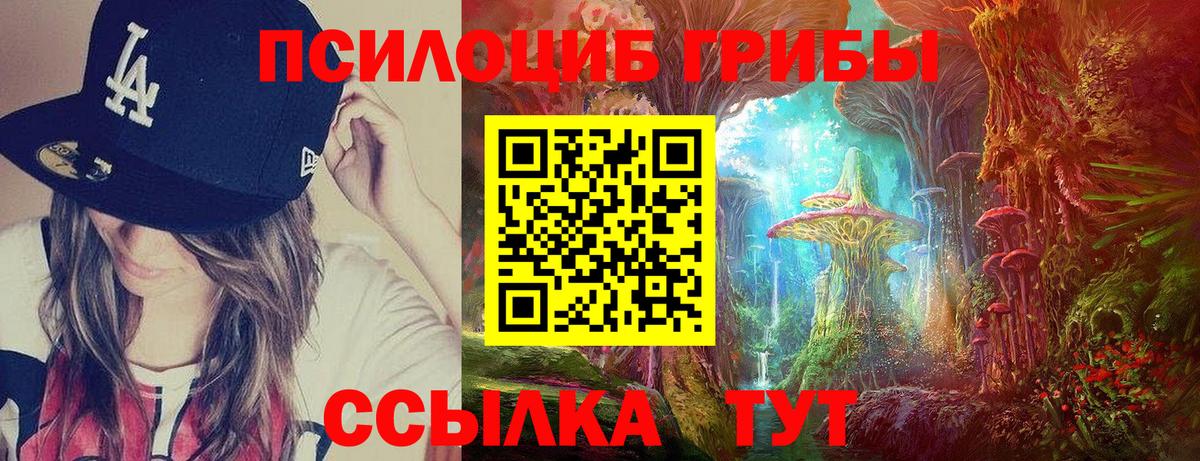 наркотики  Псилоцибиновые грибы прущие грибы  Вход с VPN  Татарск 